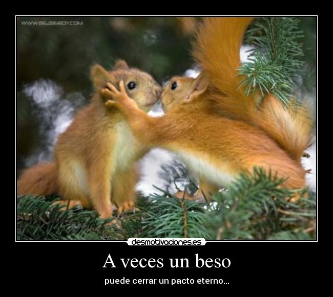 carteles besoardillaseterno desmotivaciones