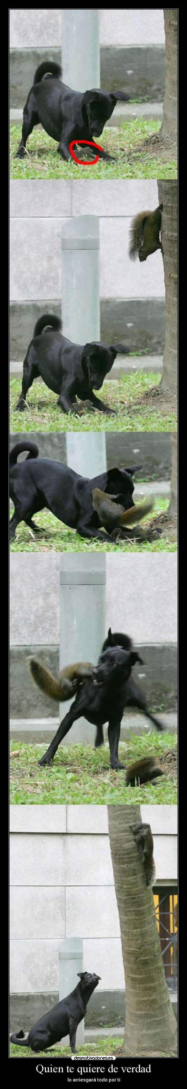 carteles quien quiere verdad desmotivaciones