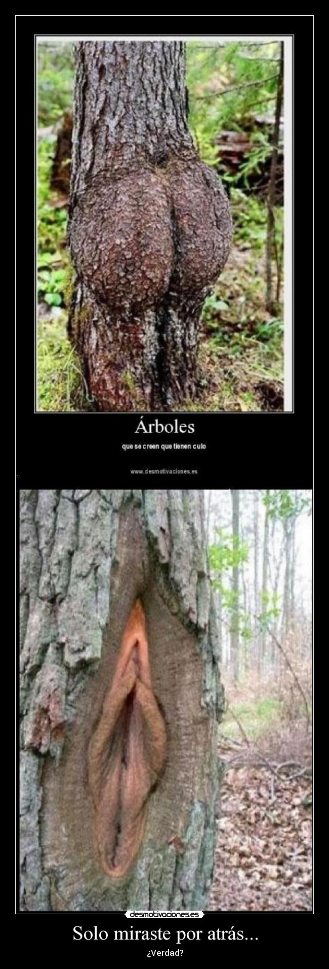 carteles solo desmotivaciones