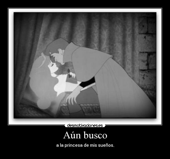 Aún busco - a la princesa de mis sueños.
