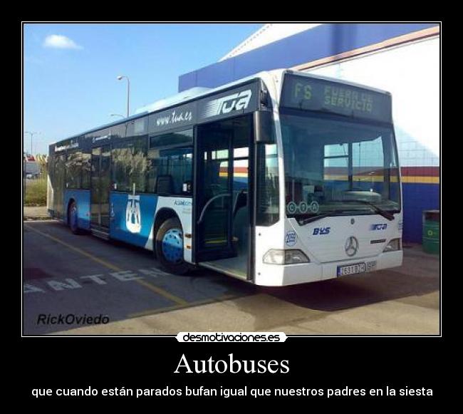 Autobuses -
