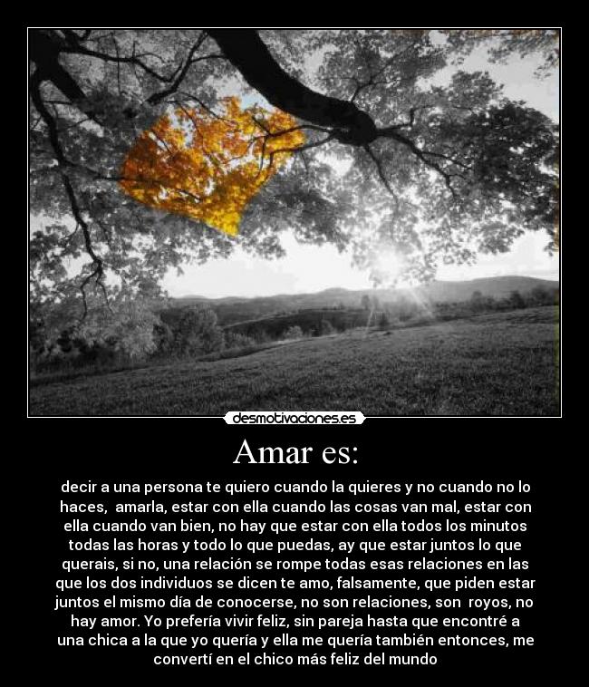 Amar es: - decir a una persona te quiero cuando la quieres y no cuando no lo
haces,  amarla, estar con ella cuando las cosas van mal, estar con
ella cuando van bien, no hay que estar con ella todos los minutos
todas las horas y todo lo que puedas, ay que estar juntos lo que
querais, si no, una relación se rompe todas esas relaciones en las
que los dos individuos se dicen te amo, falsamente, que piden estar
juntos el mismo día de conocerse, no son relaciones, son  royos, no
hay amor. Yo prefería vivir feliz, sin pareja hasta que encontré a
una chica a la que yo quería y ella me quería también entonces, me
convertí en el chico más feliz del mundo