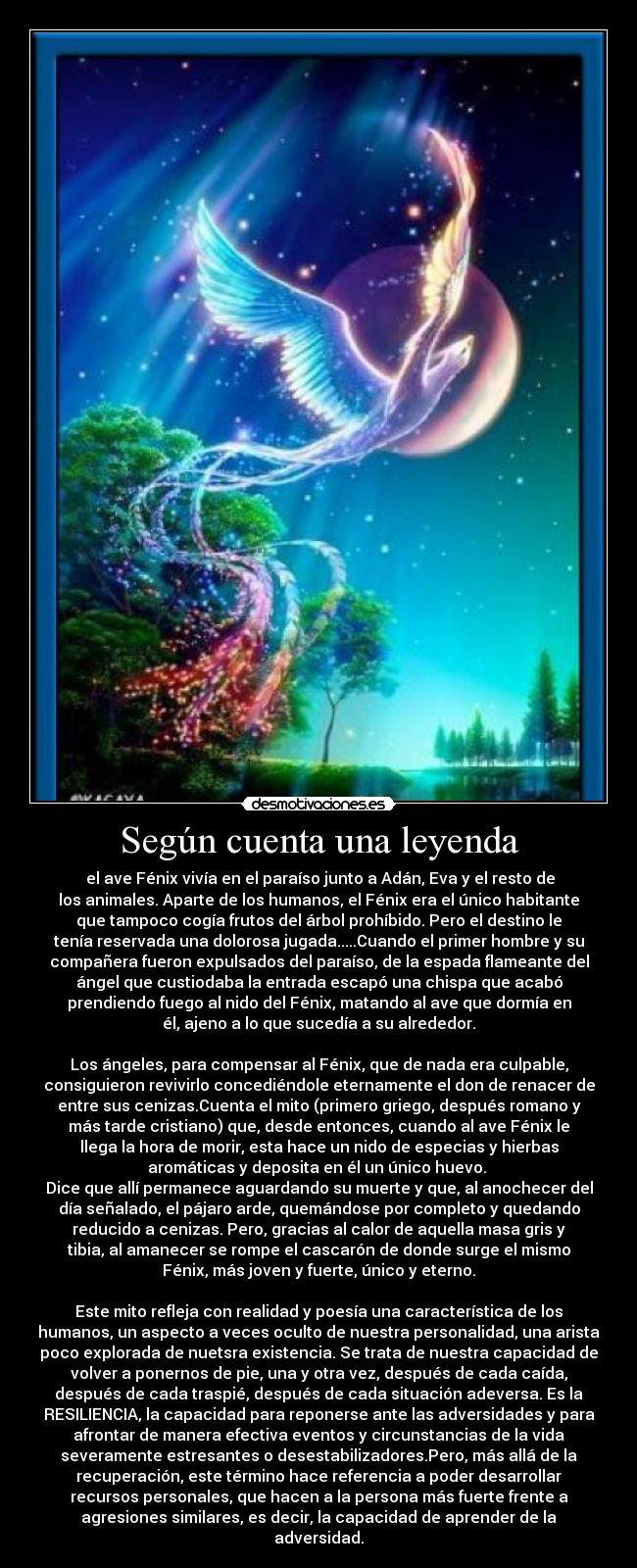 Según cuenta una leyenda -  el ave Fénix vivía en el paraíso junto a Adán, Eva y el resto de
los animales. Aparte de los humanos, el Fénix era el único habitante
que tampoco cogía frutos del árbol prohíbido. Pero el destino le
tenía reservada una dolorosa jugada.....Cuando el primer hombre y su
compañera fueron expulsados del paraíso, de la espada flameante del
ángel que custiodaba la entrada escapó una chispa que acabó
prendiendo fuego al nido del Fénix, matando al ave que dormía en
él, ajeno a lo que sucedía a su alrededor.

Los ángeles, para compensar al Fénix, que de nada era culpable,
consiguieron revivirlo concediéndole eternamente el don de renacer de
entre sus cenizas.Cuenta el mito (primero griego, después romano y
más tarde cristiano) que, desde entonces, cuando al ave Fénix le
llega la hora de morir, esta hace un nido de especias y hierbas
aromáticas y deposita en él un único huevo. 
Dice que allí permanece aguardando su muerte y que, al anochecer del
día señalado, el pájaro arde, quemándose por completo y quedando
reducido a cenizas. Pero, gracias al calor de aquella masa gris y
tibia, al amanecer se rompe el cascarón de donde surge el mismo
Fénix, más joven y fuerte, único y eterno.

Este mito refleja con realidad y poesía una característica de los
humanos, un aspecto a veces oculto de nuestra personalidad, una arista
poco explorada de nuetsra existencia. Se trata de nuestra capacidad de
volver a ponernos de pie, una y otra vez, después de cada caída,
después de cada traspié, después de cada situación adeversa. Es la
RESILIENCIA, la capacidad para reponerse ante las adversidades y para
afrontar de manera efectiva eventos y circunstancias de la vida
severamente estresantes o desestabilizadores.Pero, más allá de la
recuperación, este término hace referencia a poder desarrollar
recursos personales, que hacen a la persona más fuerte frente a
agresiones similares, es decir, la capacidad de aprender de la
adversidad.