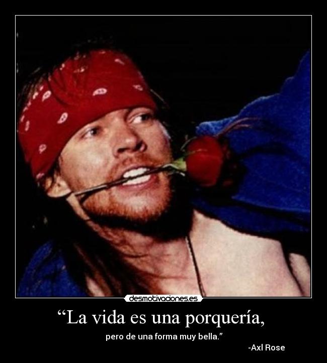 “La vida es una porquería, -