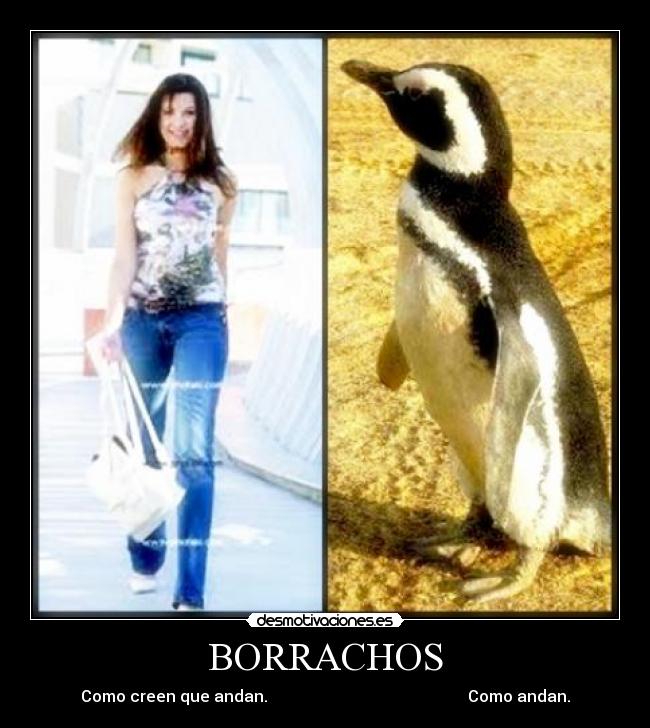 BORRACHOS - Como creen que andan.                                                  Como andan.