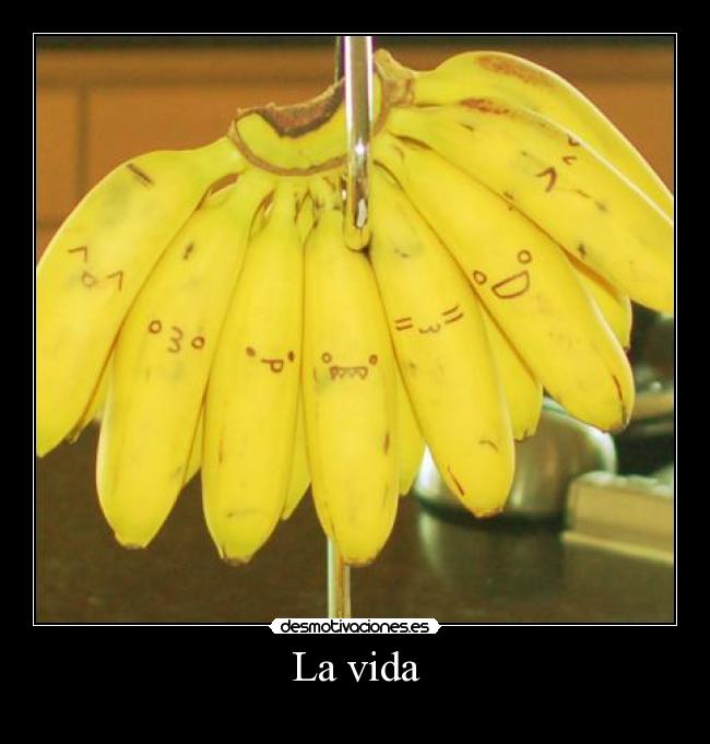 La vida - 