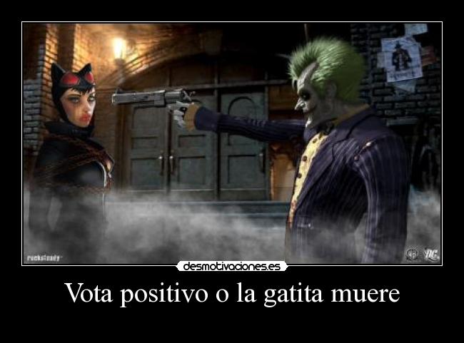 Vota positivo o la gatita muere -