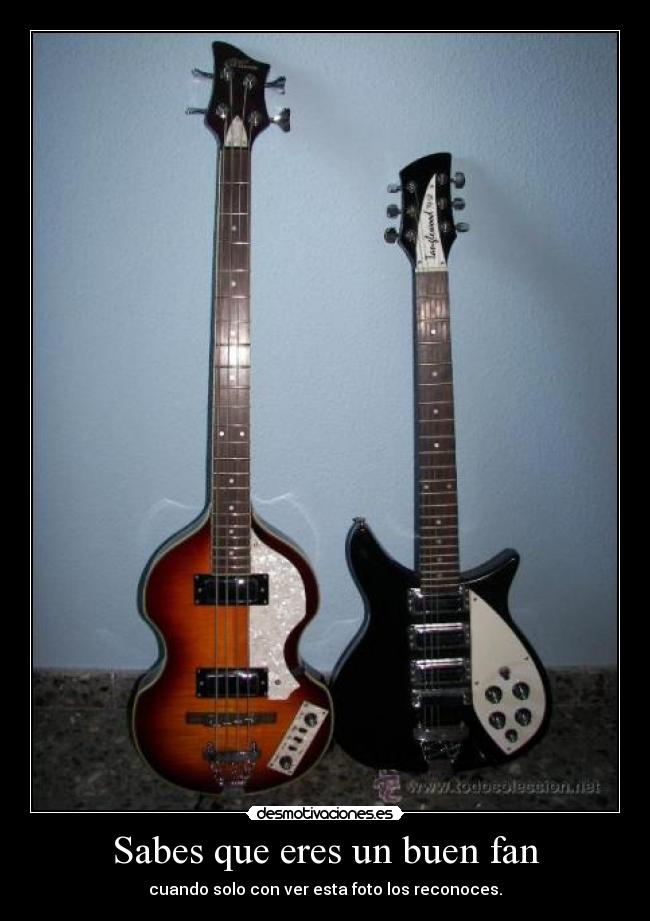 Sabes que eres un buen fan -
