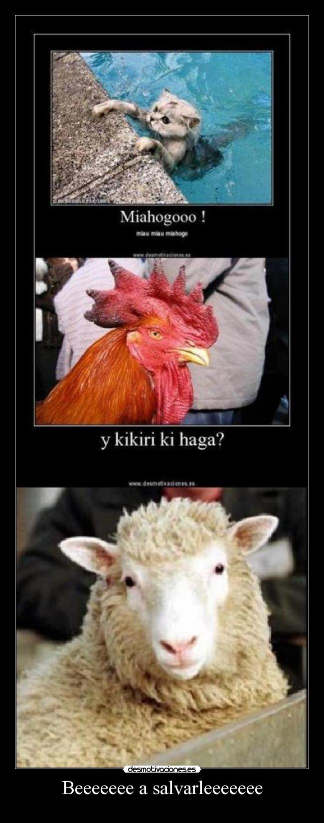 Beeeeeee a salvarleeeeeee -