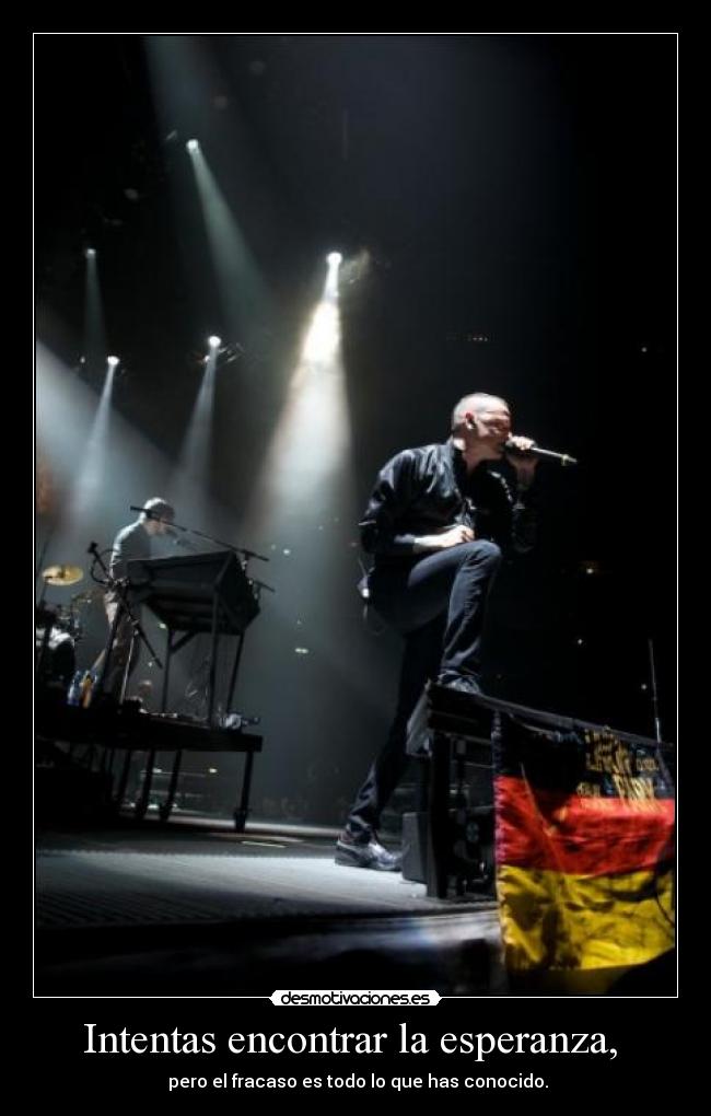 Intentas encontrar la esperanza,  - 