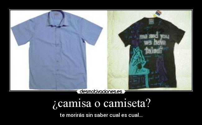 ¿camisa o camiseta? - 