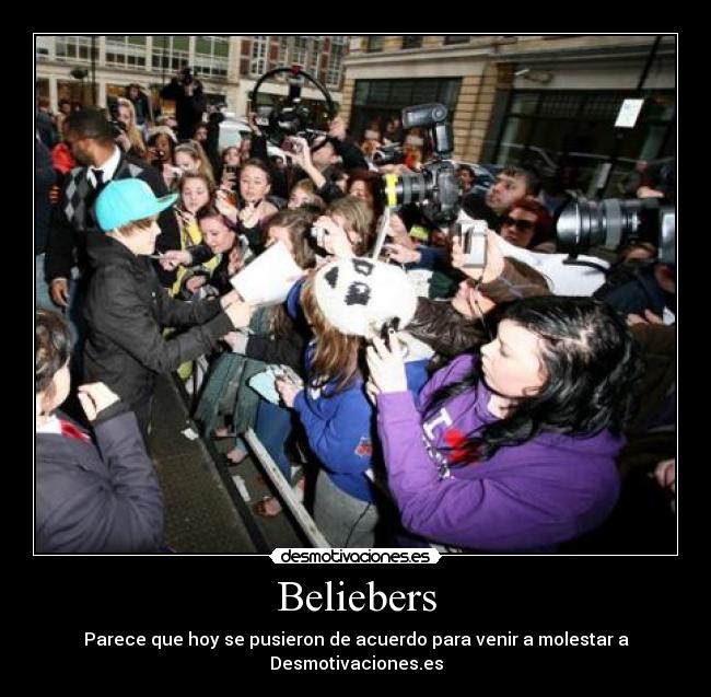 Beliebers - 