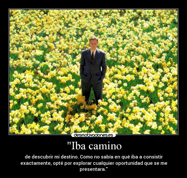 Iba camino - de descubrir mi destino. Como no sabía en qué iba a consistir
exactamente, opté por explorar cualquier oportunidad que se me
presentara.