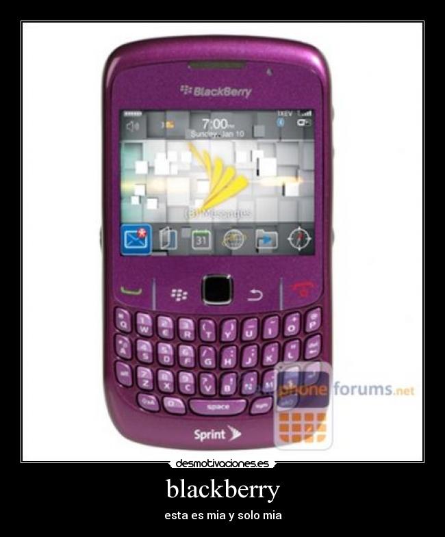 blackberry -