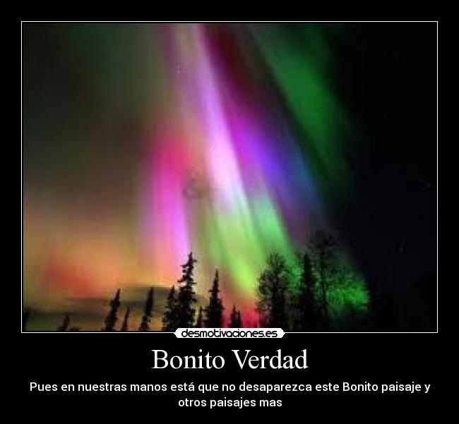 Bonito Verdad - 