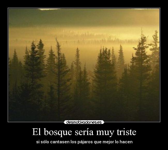 El bosque sería muy triste - si sólo cantasen los pájaros que mejor lo hacen