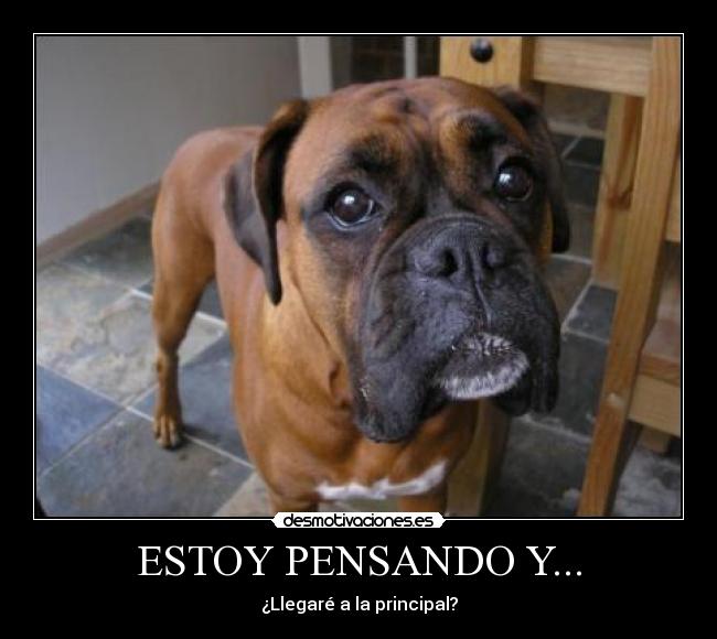 ESTOY PENSANDO Y... - ¿Llegaré a la principal?