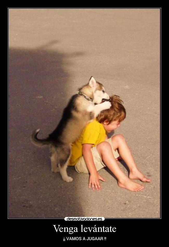 Venga levántate - 