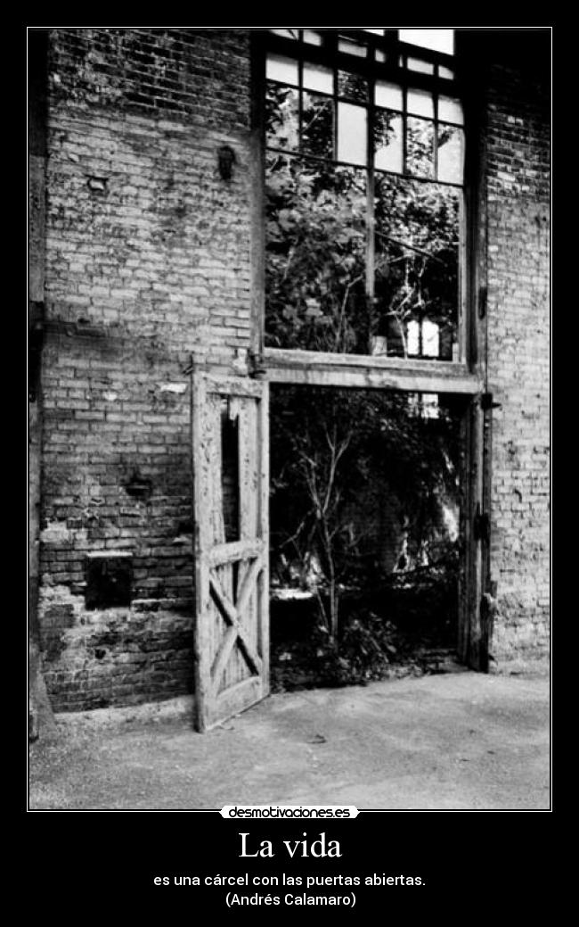 La vida - es una cárcel con las puertas abiertas.
(Andrés Calamaro)