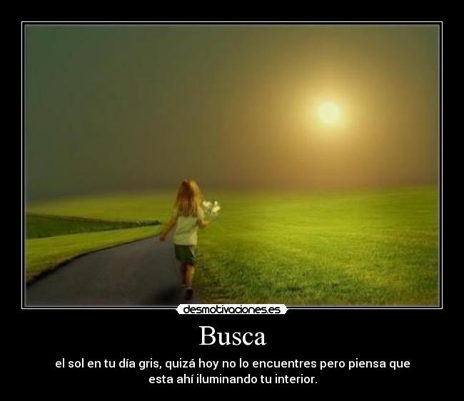 Busca - 