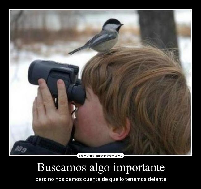 Buscamos algo importante - pero no nos damos cuenta de que lo tenemos delante