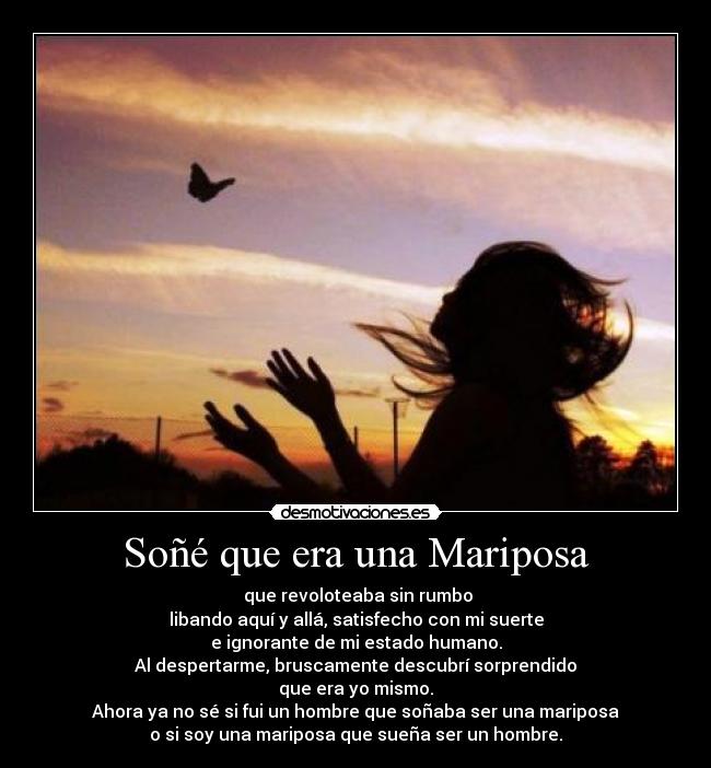 carteles mariposasonarsuenorevolotearatardecerhumanochuang tse desmotivaciones