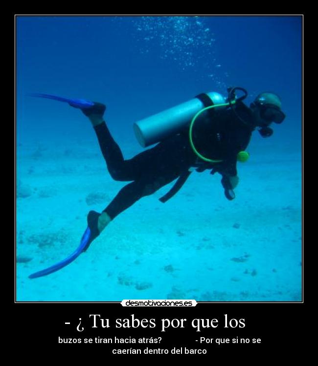 - ¿ Tu sabes por que los -