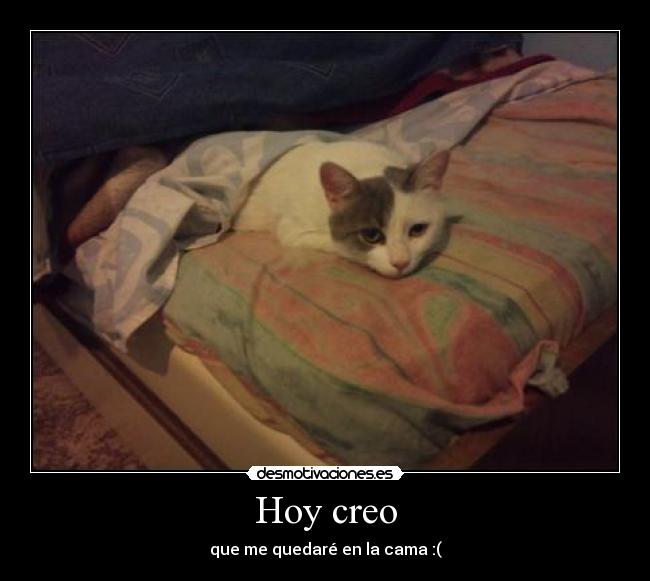 Hoy creo -