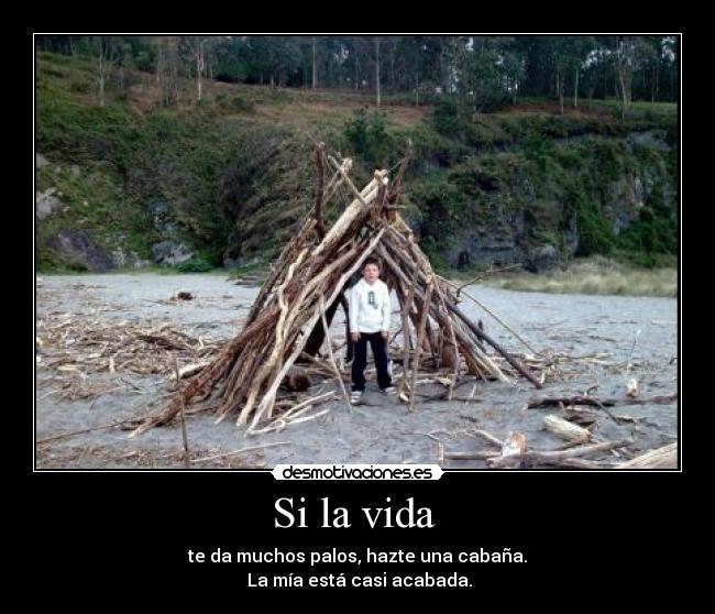 Si la vida -