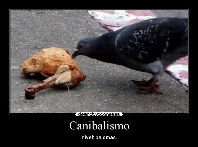 Canibalismo - nivel: palomas.