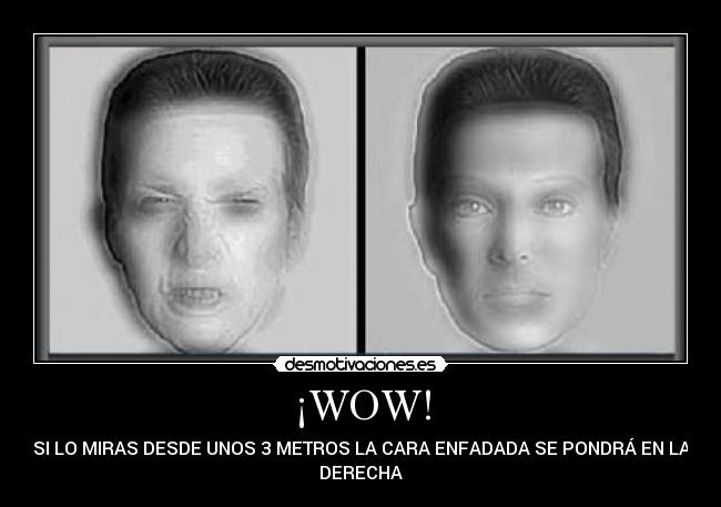 ¡WOW! - SI LO MIRAS DESDE UNOS 3 METROS LA CARA ENFADADA SE PONDRÁ EN LA
DERECHA