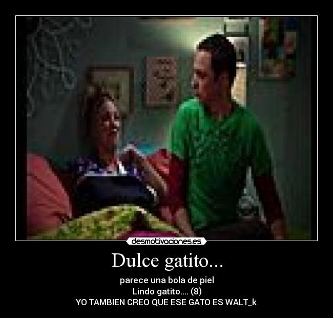 carteles walt_k dulce gatito big ban sheldon penny desmotivaciones