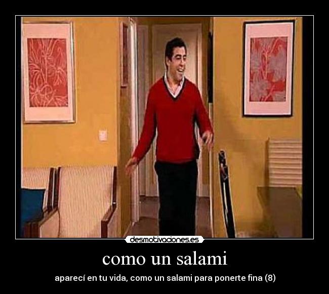 como un salami - aparecí en tu vida, como un salami para ponerte fina (8)