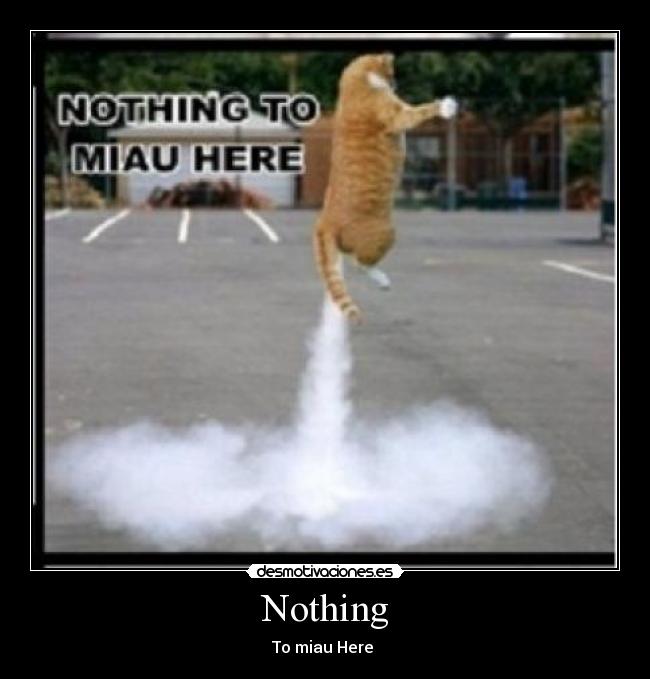 Nothing - To miau Here