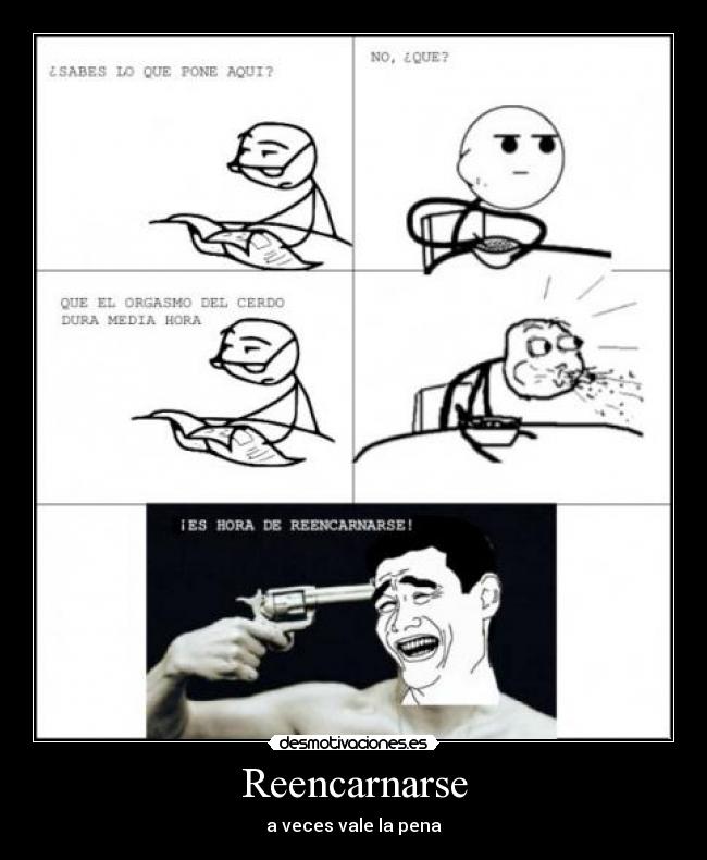 Reencarnarse - a veces vale la pena
