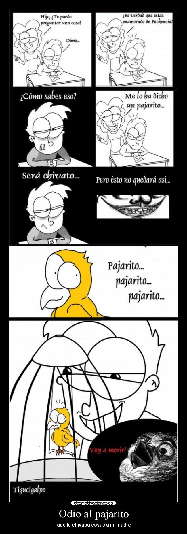 carteles odio cabron desmotivaciones