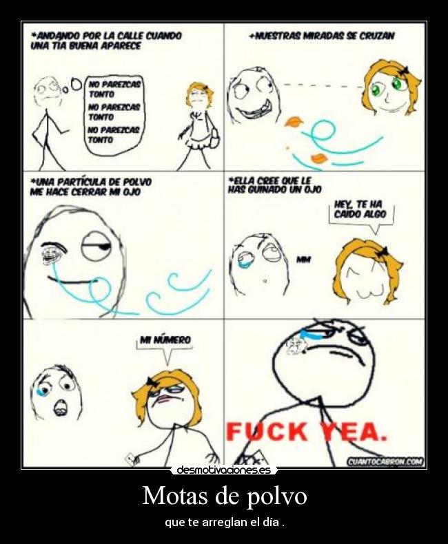 Motas de polvo - que te arreglan el día .