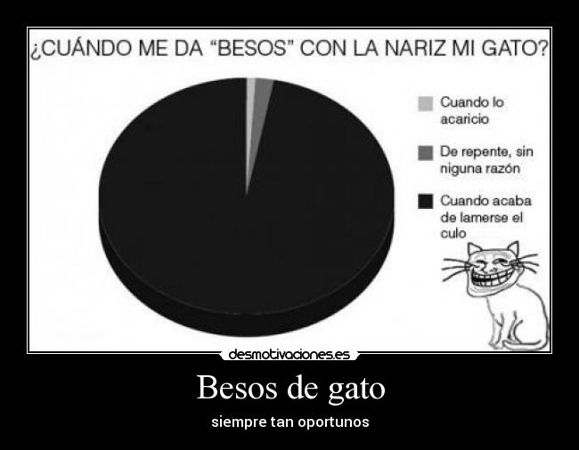 Besos de gato - siempre tan oportunos