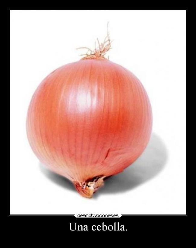 Una cebolla. -