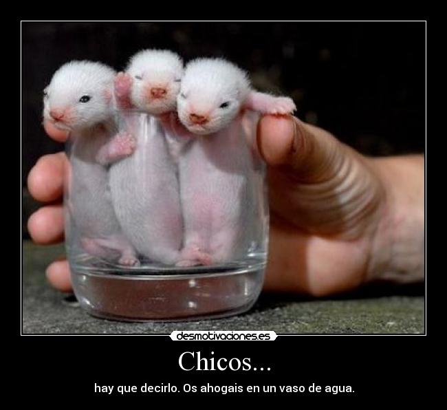 Chicos... -