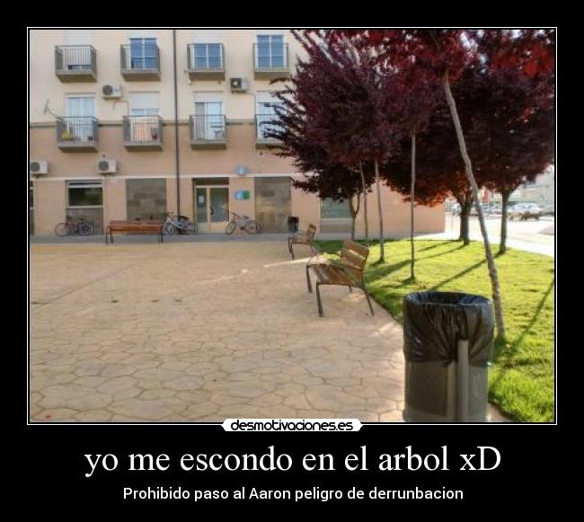 yo me escondo en el arbol xD -