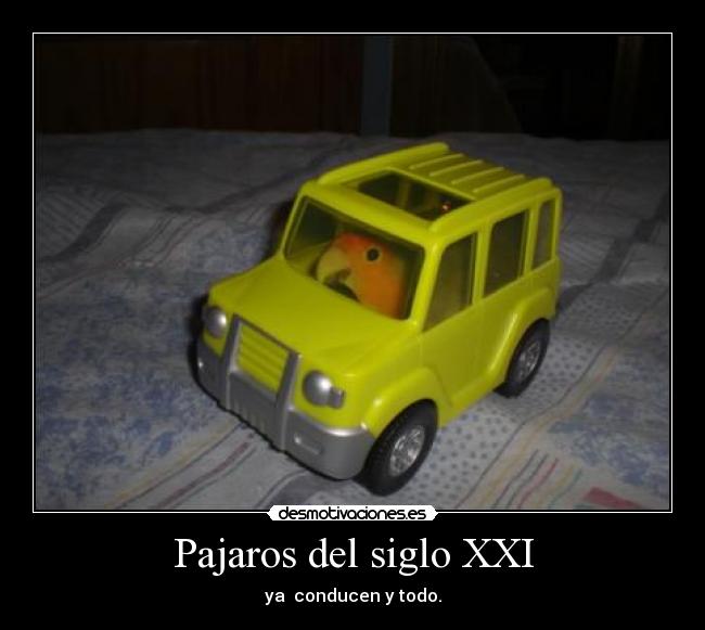 Pajaros del siglo XXI -