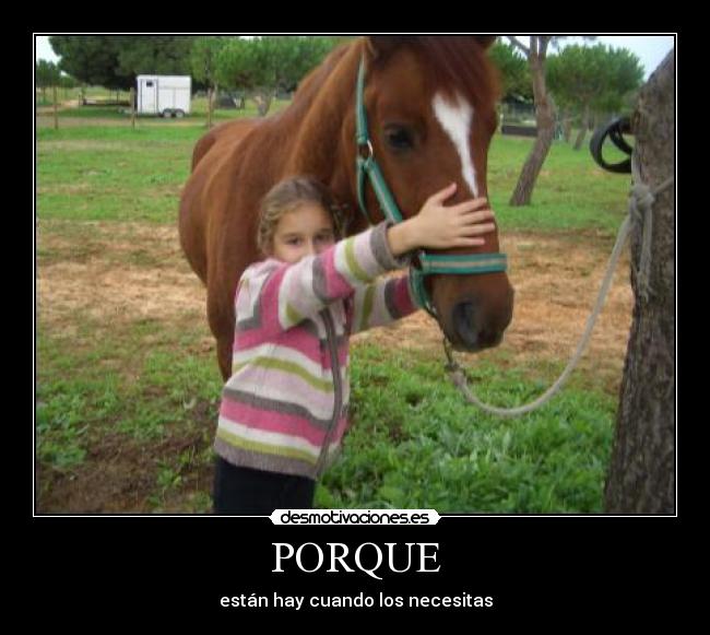 PORQUE -