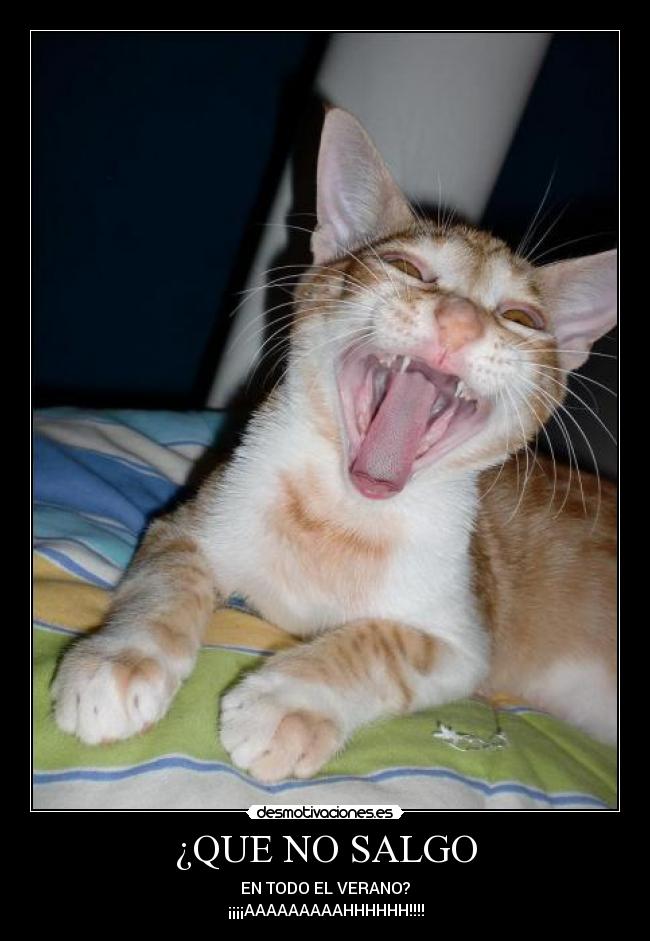 ¿QUE NO SALGO - EN TODO EL VERANO?
¡¡¡¡AAAAAAAAAHHHHHH!!!!