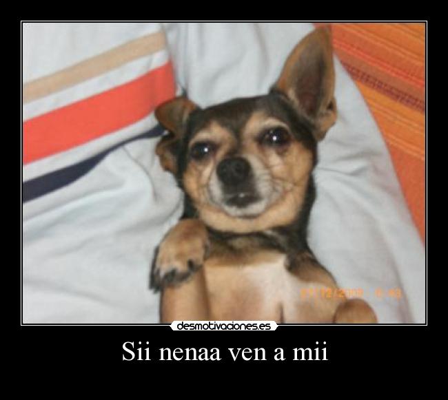 carteles perro nena desmotivaciones