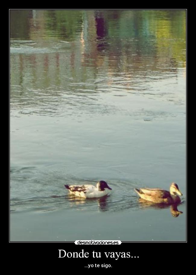 carteles tu desmotivaciones