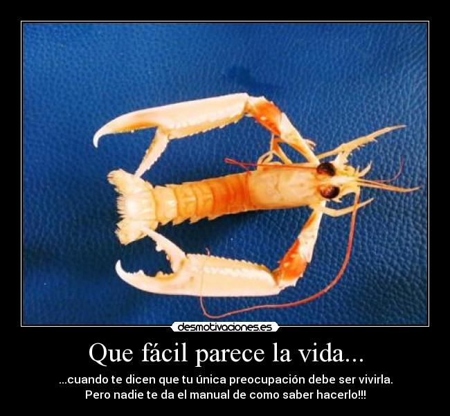 Que fácil parece la vida... - 