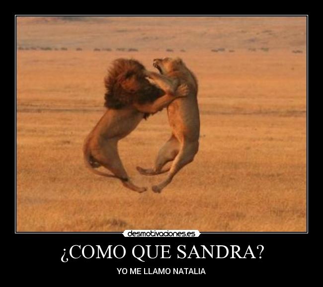 ¿COMO QUE SANDRA? - 