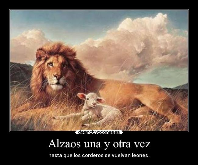 Alzaos una y otra vez - hasta que los corderos se vuelvan leones .
