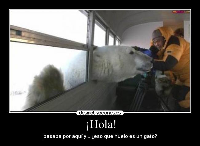 ¡Hola! - pasaba por aquí y... ¿eso que huelo es un gato?